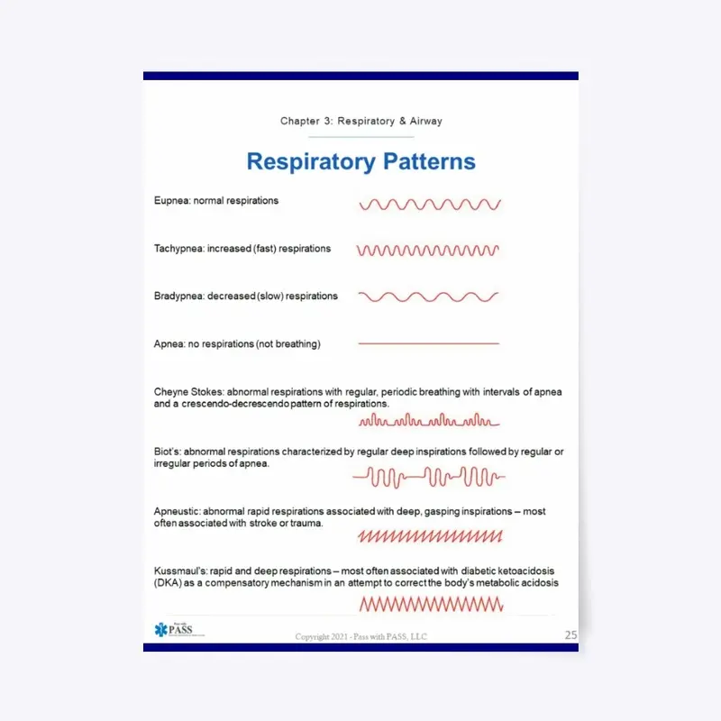 Respiratory Patterns 18" x 24" Poster