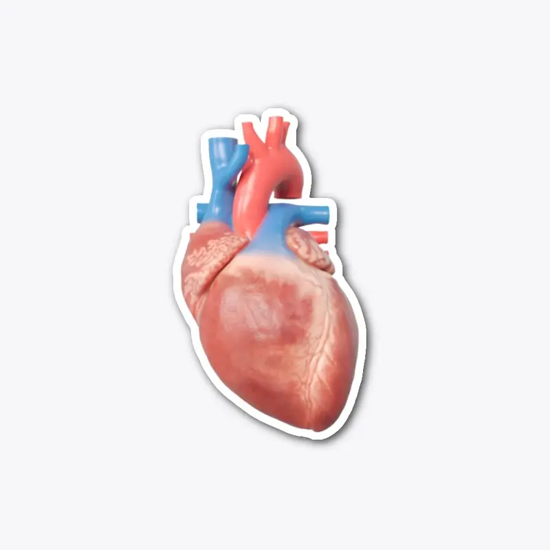 Cardiac Die Cut Sticker