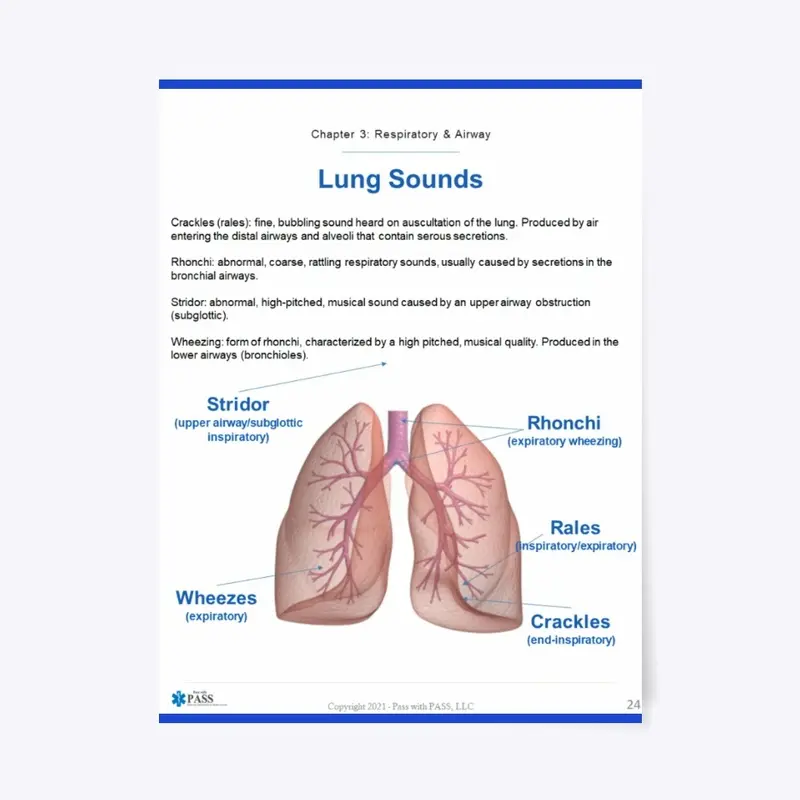 Lung Sounds  - 18"x24" Poster